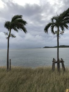 Okinawa171127 - (02) Kaichu Road - 2
