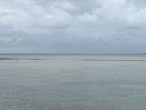 Okinawa171127 - (02) Kaichu Road - 22