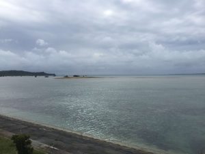 Okinawa171127 - (02) Kaichu Road - 24