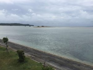 Okinawa171127 - (02) Kaichu Road - 25
