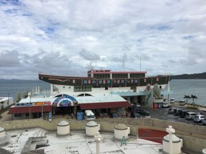 Okinawa171127 - (02) Kaichu Road - 35