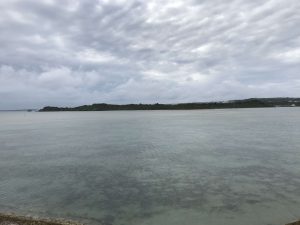 Okinawa171127 - (02) Kaichu Road - 4