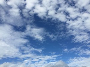 Okinawa171127 - (02) Kaichu Road - 41
