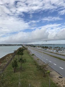 Okinawa171127 - (02) Kaichu Road - 6