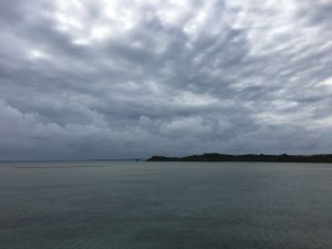 Okinawa171127 - (02) Kaichu Road - 9