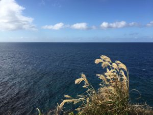 Okinawa171127 - (04) Manzamo - 10