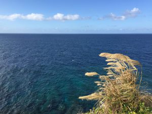 Okinawa171127 - (04) Manzamo - 19