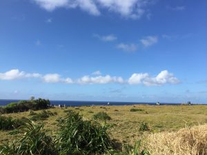 Okinawa171127 - (04) Manzamo - 3