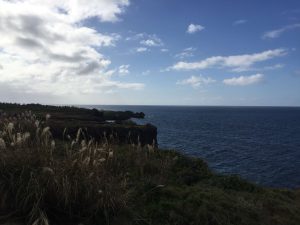 Okinawa171127 - (04) Manzamo - 39