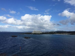 Okinawa171127 - (04) Manzamo - 47