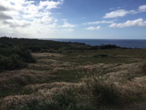 Okinawa171127 - (04) Manzamo - 48