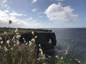Okinawa171127 - (04) Manzamo - 6