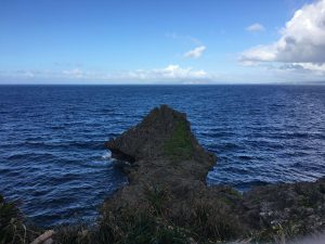 Okinawa171127 - (05) Cape Maeda - 14