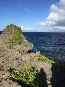 Okinawa171127 - (05) Cape Maeda - 19