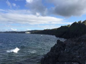 Okinawa171127 - (05) Cape Maeda - 22