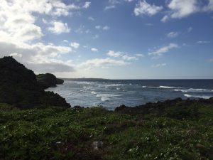 Okinawa171127 - (05) Cape Maeda - 33
