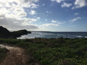 Okinawa171127 - (05) Cape Maeda - 36