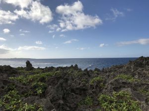 Okinawa171127 - (05) Cape Maeda - 42