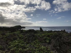Okinawa171127 - (05) Cape Maeda - 44