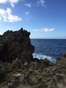 Okinawa171127 - (05) Cape Maeda - 47