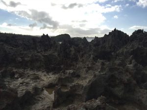 Okinawa171127 - (05) Cape Maeda - 53