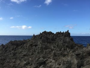 Okinawa171127 - (05) Cape Maeda - 55