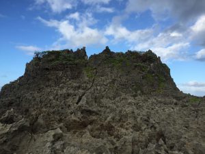 Okinawa171127 - (05) Cape Maeda - 56