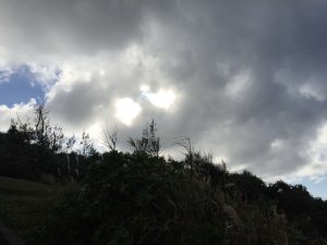 Okinawa171127 - (05) Cape Maeda - 65