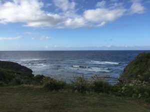 Okinawa171127 - (05) Cape Maeda - 72