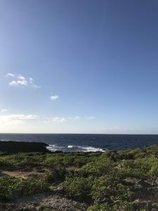 Okinawa171127 - (06) Cape Zanpa - 12