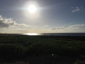 Okinawa171127 - (06) Cape Zanpa - 14