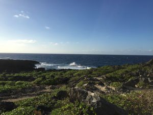 Okinawa171127 - (06) Cape Zanpa - 17