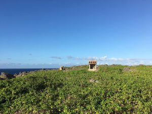 Okinawa171127 - (06) Cape Zanpa - 22