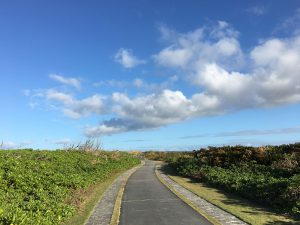 Okinawa171127 - (06) Cape Zanpa - 26