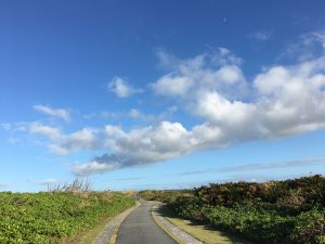 Okinawa171127 - (06) Cape Zanpa - 27