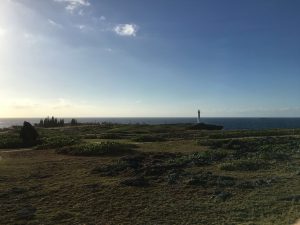 Okinawa171127 - (06) Cape Zanpa - 49