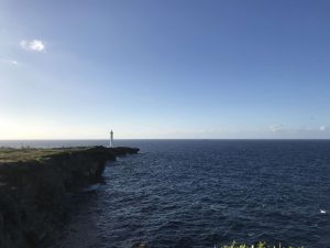 Okinawa171127 - (06) Cape Zanpa - 52