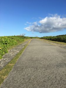 Okinawa171127 - (06) Cape Zanpa - 7