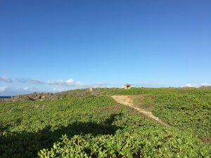 Okinawa171127 - (06) Cape Zanpa - 9