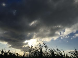 Okinawa171127 - (07) Way to Hilton - 1