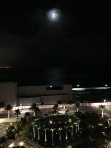 Okinawa171127 - (10) Hilton - 2