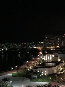 Okinawa171127 - (10) Hilton - 5