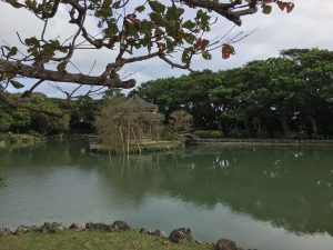 Okinawa171128 - (2) Shikinaen - 115