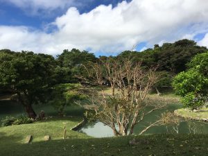Okinawa171128 - (2) Shikinaen - 136