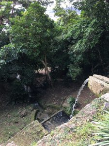 Okinawa171128 - (2) Shikinaen - 141