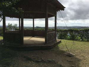 Okinawa171128 - (2) Shikinaen - 148