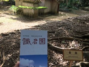 Okinawa171128 - (2) Shikinaen - 4