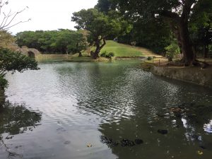 Okinawa171128 - (2) Shikinaen - 42