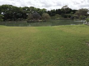 Okinawa171128 - (2) Shikinaen - 48