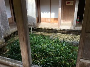 Okinawa171128 - (2) Shikinaen - 54